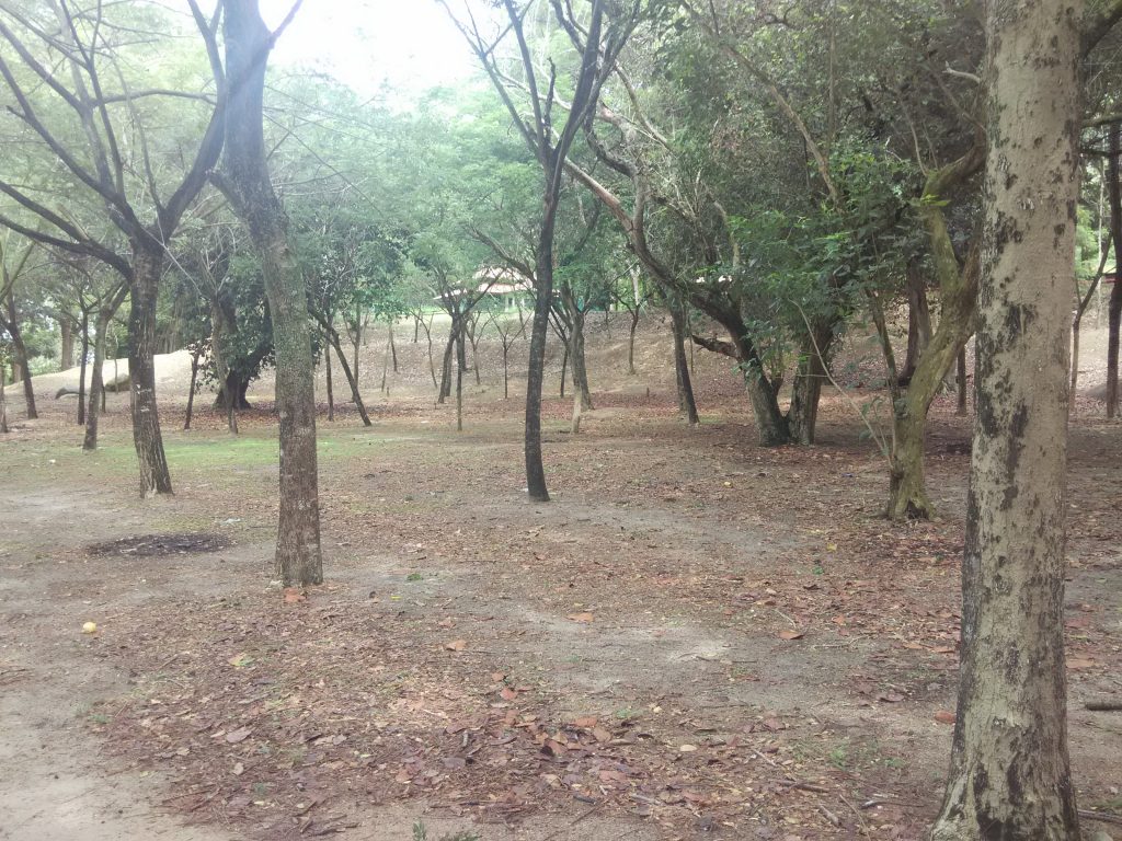 pulau besar